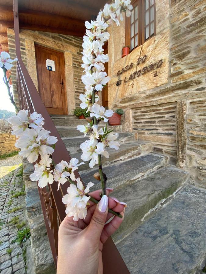 Гостьовий будинок Casa Do Ti Latoeiro Торрі-ді-Монкорву Екстер'єр фото
